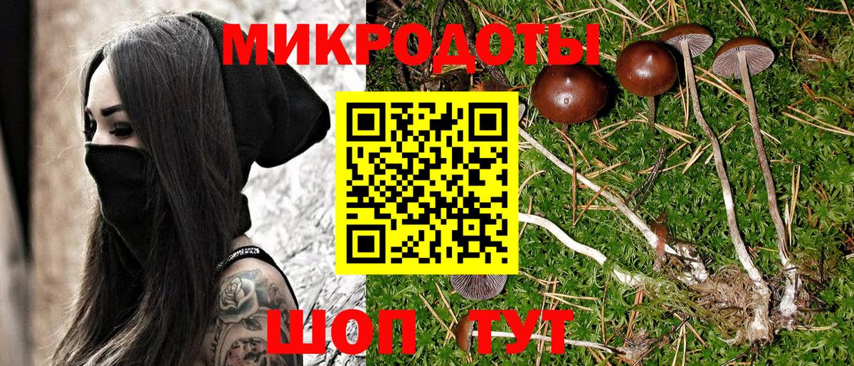 Елабуга  Галлюциногенные грибы мухоморы  Вход с VPN 